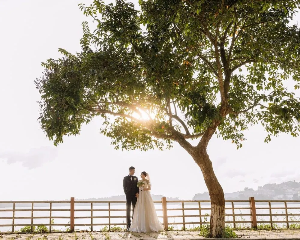 Ağaç altı düğün dekorasyonu